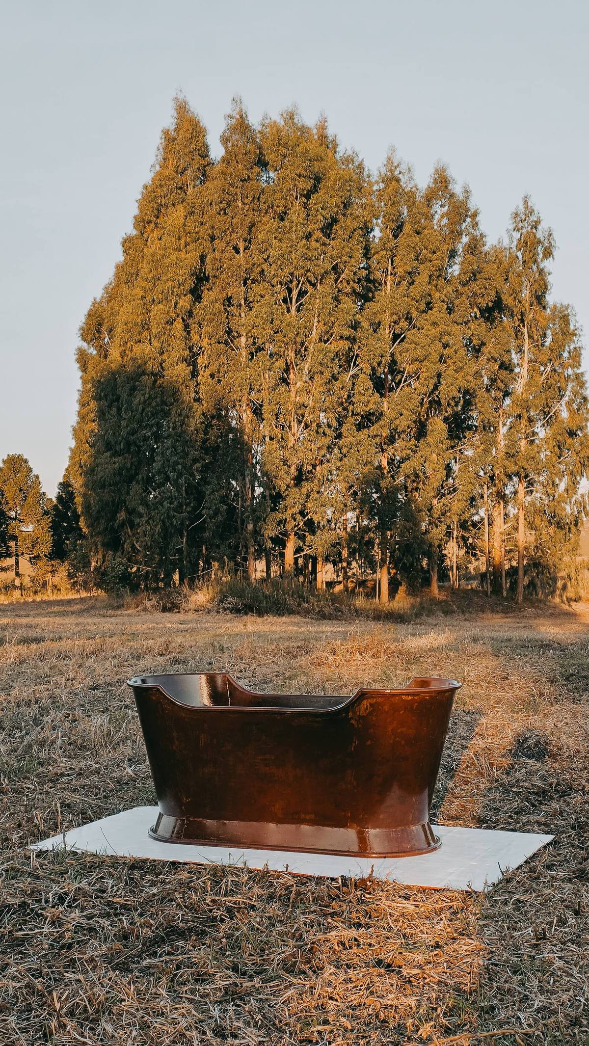 Banheira Vitoria em aço oxidado no campo, diante de eucaliptos ao entardecer